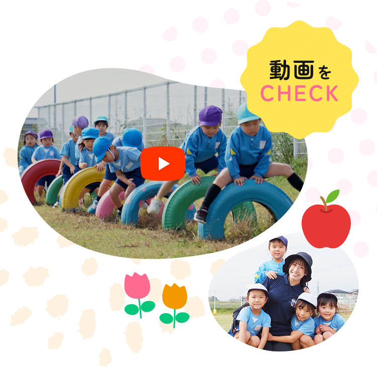 動画をチェック!